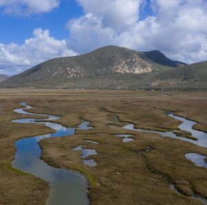 Drone Photography - Central Coast 14